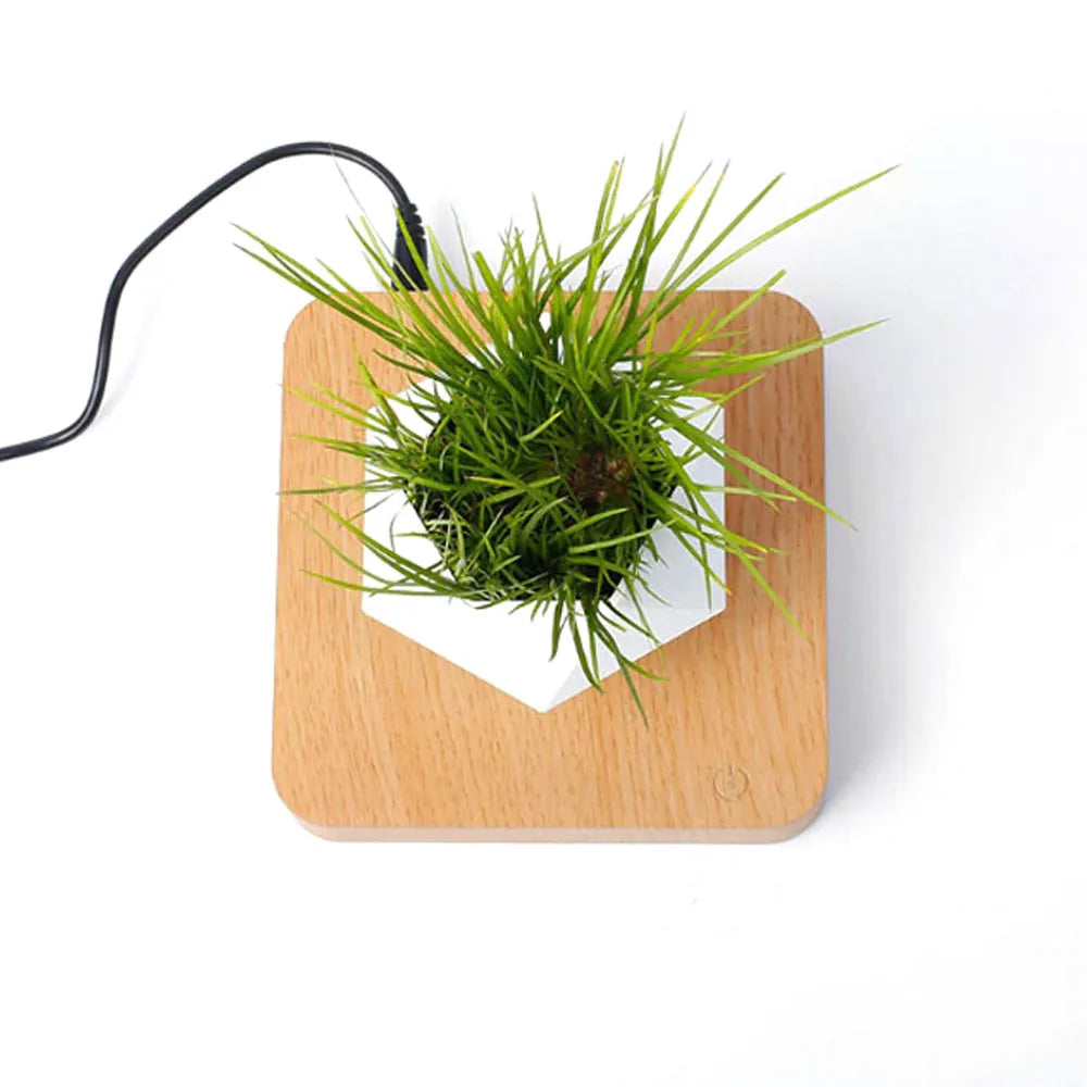 Levitating Bonsai Pot