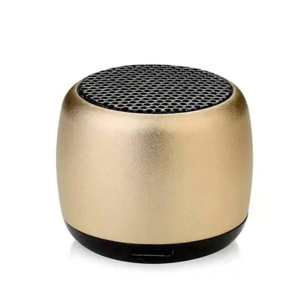 Mini Speaker