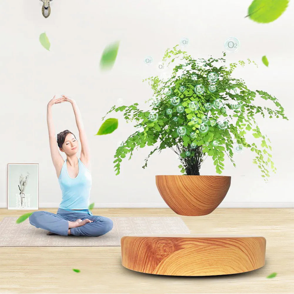 Levitating Bonsai Pot